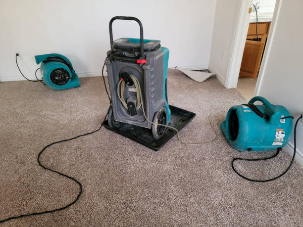 Best Water damage contractors near me  in Decatur, AR