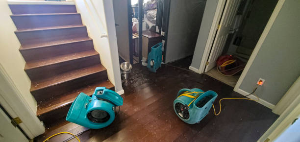 Best 24-hour water damage restoration  in Decatur, AR