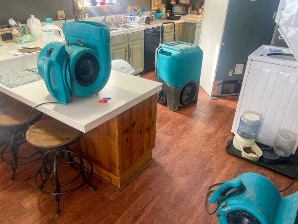 Best Carpet water damage restoration  in Decatur, AR