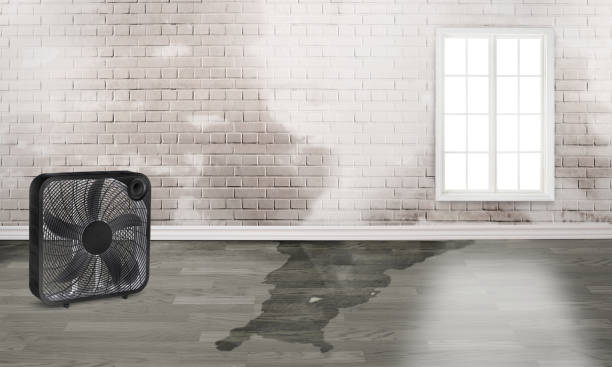 Best Water damage restoration mold remediation  in Decatur, AR