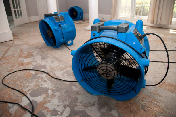 Water damage restoration mold remediation in AR