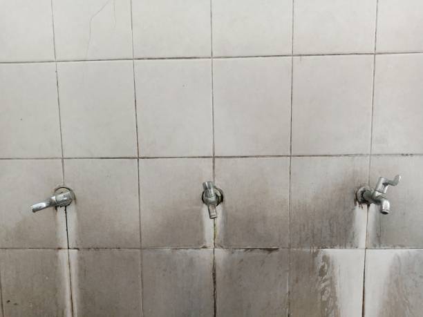 Best 24/7 water damage repair  in Decatur, AR