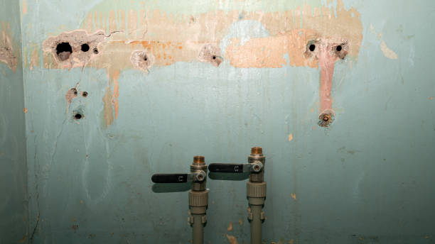 Best 24-hour water damage restoration  in Decatur, AR
