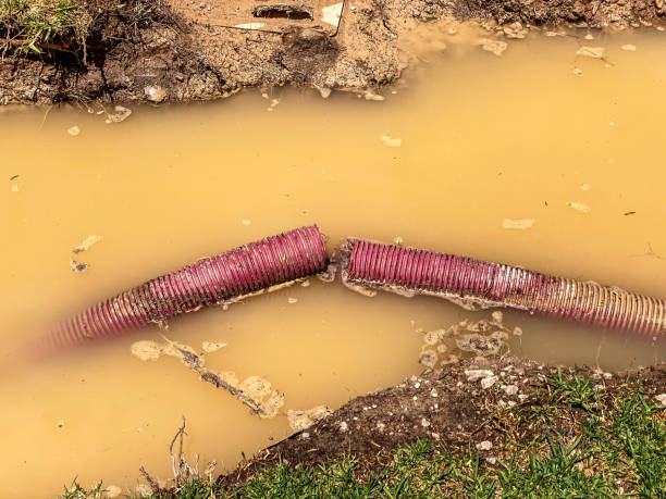 Best Commercial water damage restoration  in Decatur, AR